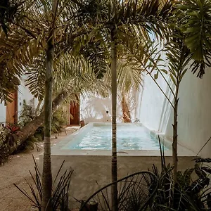 Apartment & Madre Self-check In, Isla Holbox